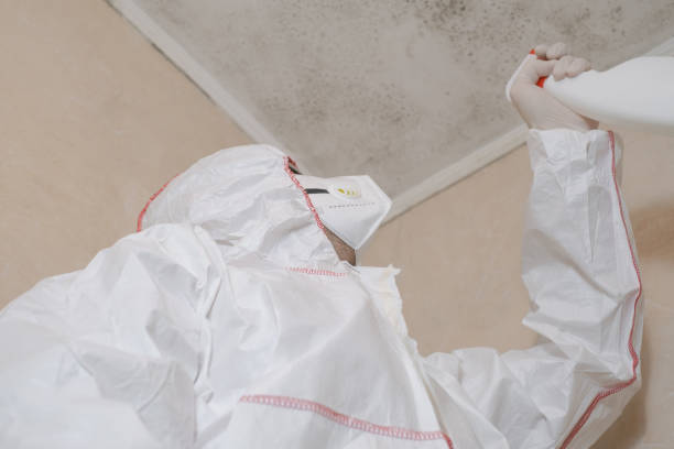 Best Asbestos and Lead Testing During Mold Inspection  in North Zanesville, OH